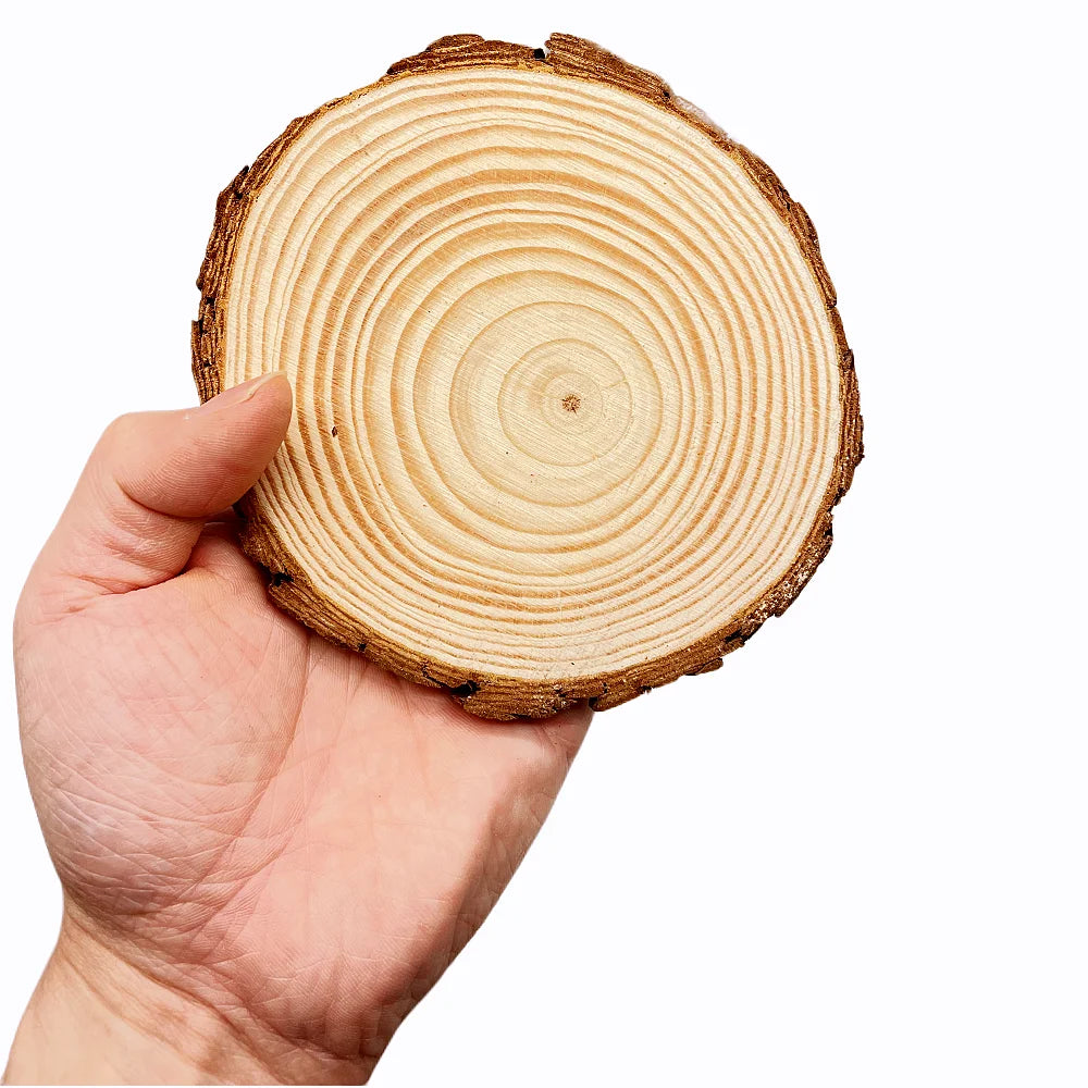 Natural Pine Round Unfinished Wood Slices with Tree Bark (3-12cm, 1 Pack)