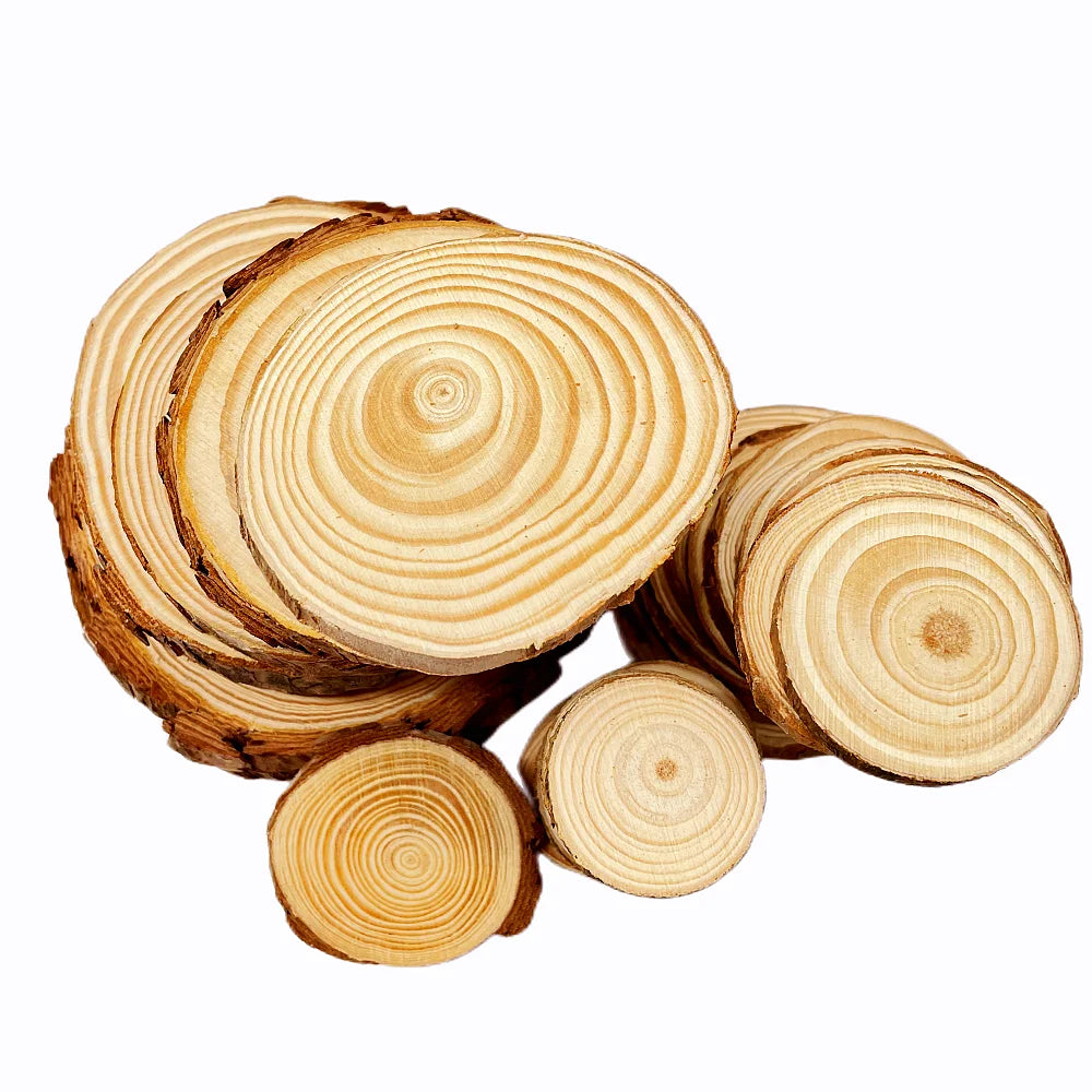 Natural Pine Round Unfinished Wood Slices with Tree Bark (3-12cm, 1 Pack)